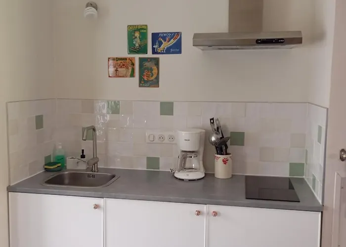 Vakantiehuis Le Gripeau Apremont (Vendee)